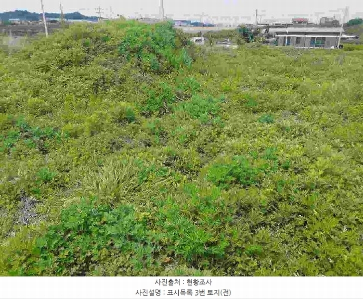 2025타경11709 충청남도 천안시 서북구 직산읍 석곡리 139-14 임야 경매 이미지