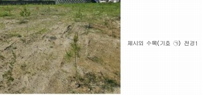 2025타경11709 충청남도 천안시 서북구 직산읍 석곡리 139-14 임야 경매 이미지