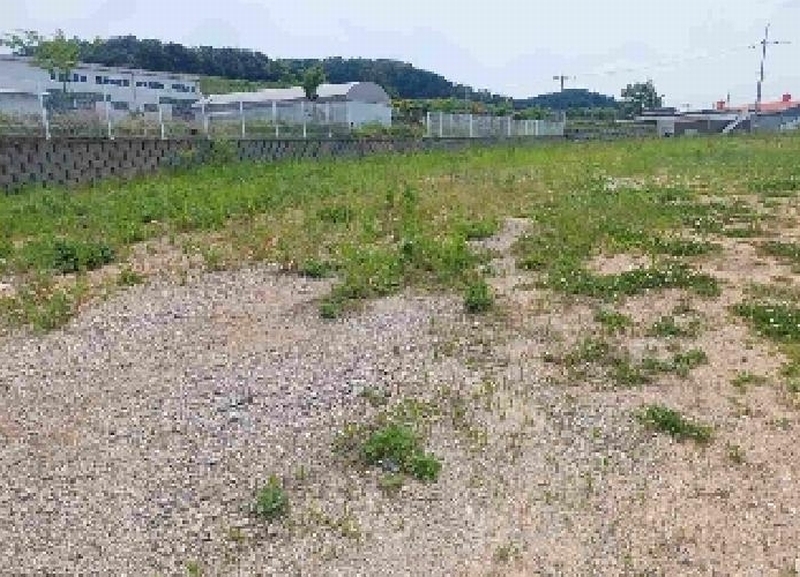 2025타경11709 충청남도 천안시 서북구 직산읍 석곡리 139-14 임야 경매 이미지