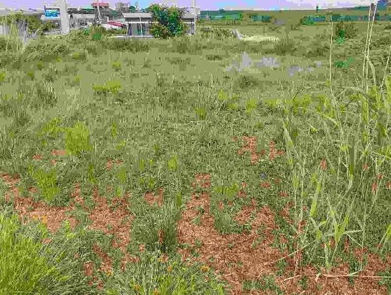 2025타경11709 충청남도 천안시 서북구 직산읍 석곡리 139-14 임야 경매 이미지