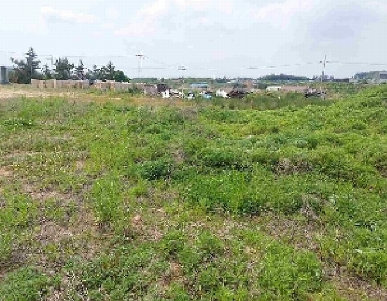2025타경11709 충청남도 천안시 서북구 직산읍 석곡리 139-14 임야 경매 이미지