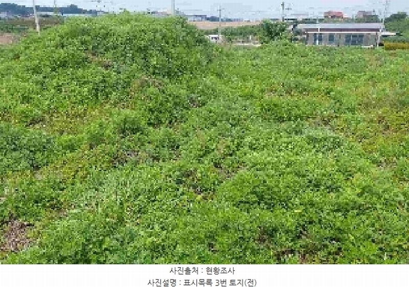 2025타경11709 충청남도 천안시 서북구 직산읍 석곡리 139-14 임야 경매 이미지