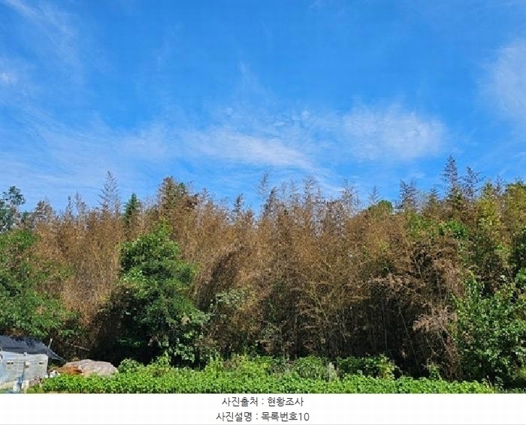 2025타경815 경상남도 진주시 금산면 중천리 1005 농지 경매 이미지
