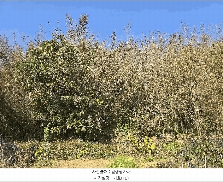 2025타경815 경상남도 진주시 금산면 중천리 1005 농지 경매 이미지