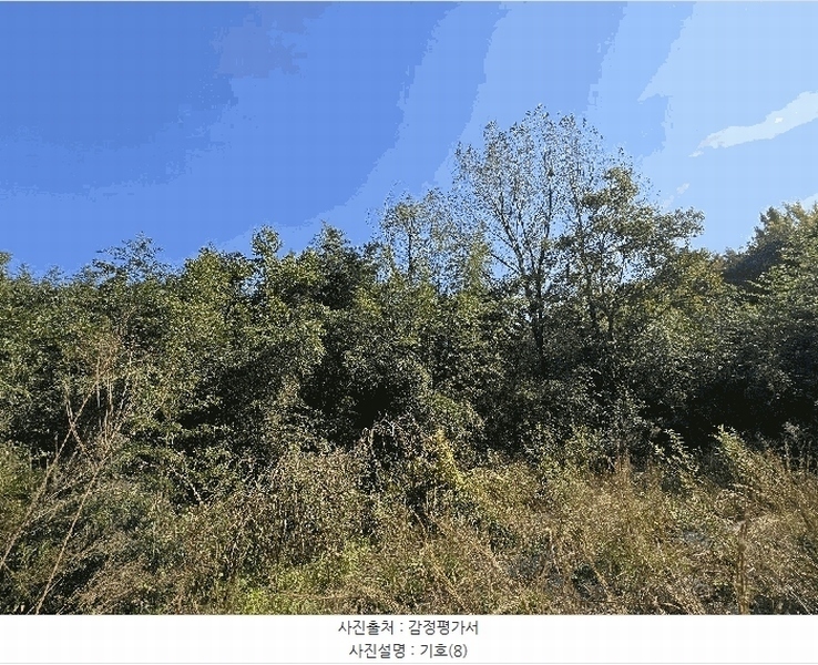 2025타경815 경상남도 진주시 금산면 중천리 935 농지 경매 이미지