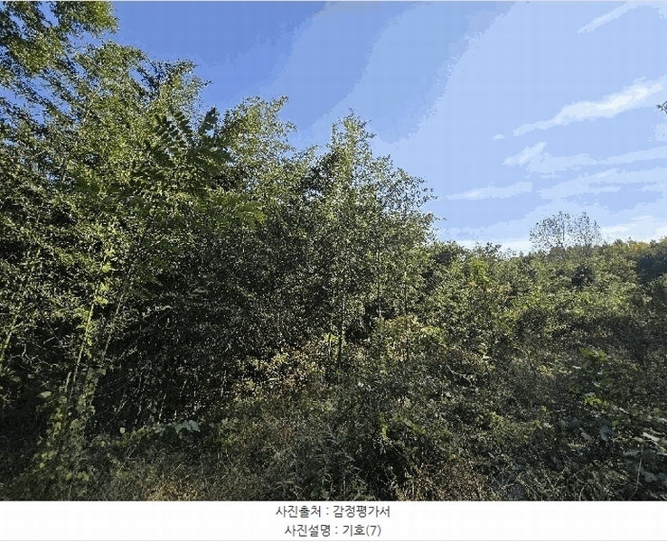 2025타경815 경상남도 진주시 금산면 중천리 935 농지 경매 이미지