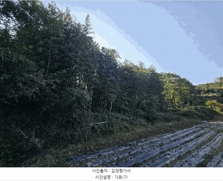 2025타경815 경상남도 진주시 금산면 중천리 935 농지 경매 이미지