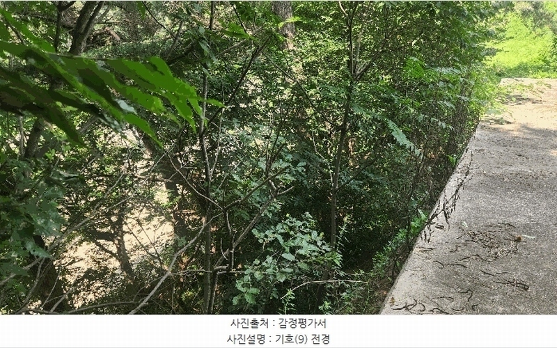 2025타경864 경상남도 남해군 설천면 문항리 1129-1 임야 경매 이미지