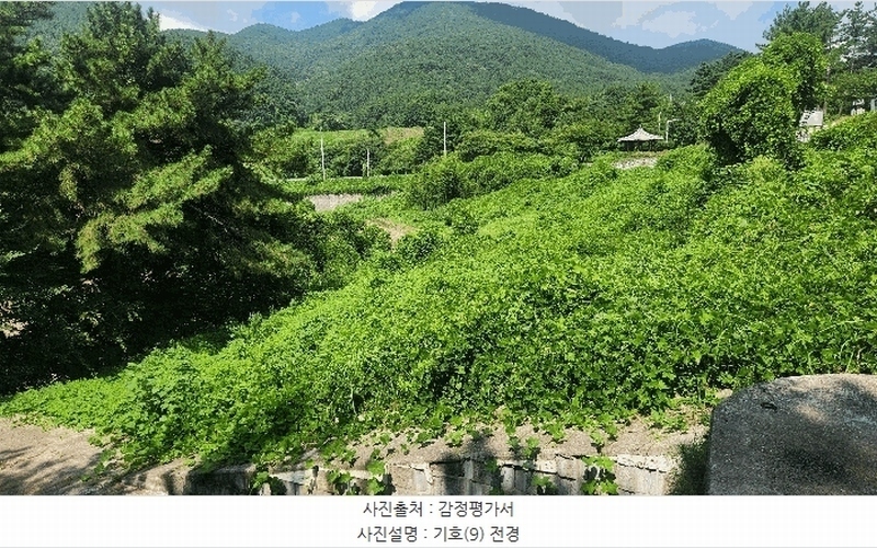 2025타경864 경상남도 남해군 설천면 문항리 1129-1 임야 경매 이미지