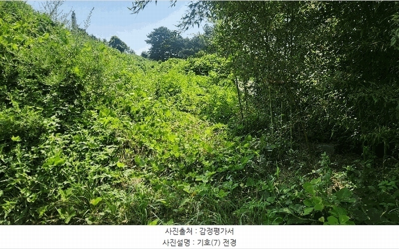 2025타경864 경상남도 남해군 설천면 문항리 1129-1 임야 경매 이미지