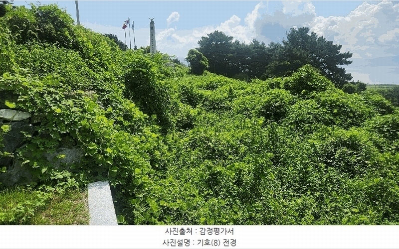 2025타경864 경상남도 남해군 설천면 문항리 1129-1 임야 경매 이미지