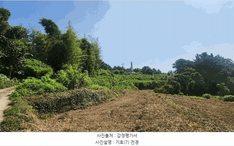 2025타경864 경상남도 남해군 설천면 문항리 1129-1 임야 경매 이미지