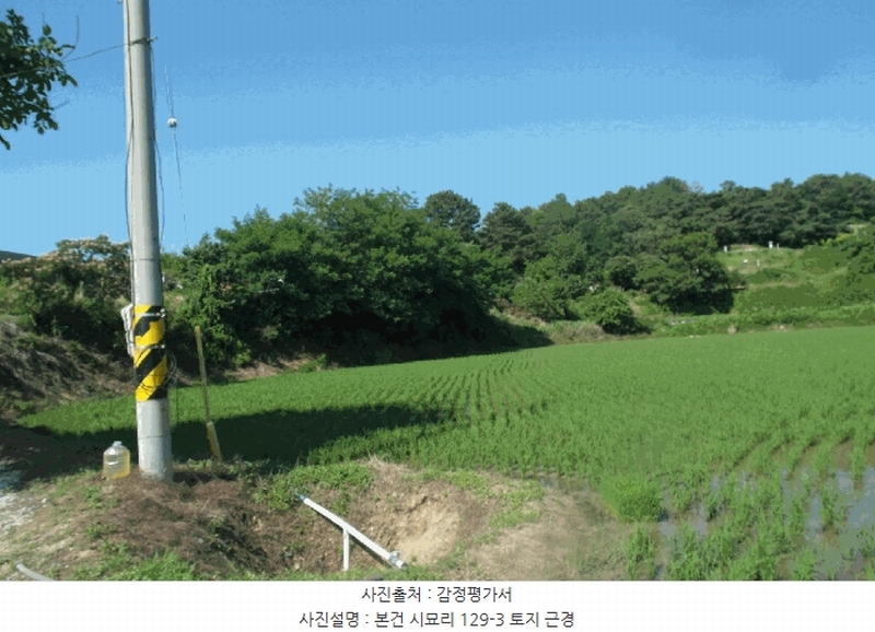 2025타경20377 충청남도 논산시 은진면 시묘리 129-3 농지 경매 이미지