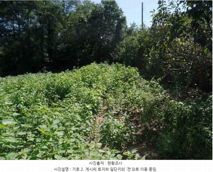 2025타경20377 충청남도 논산시 은진면 시묘리 69-7 임야 경매 이미지