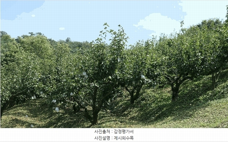 2025타경904 경상남도 진주시 문산읍 두산리 산60 과수원 경매 이미지