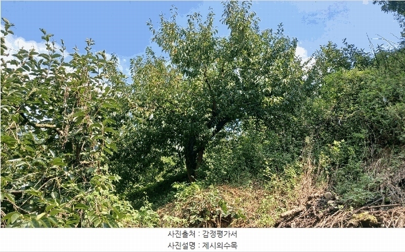 2025타경904 경상남도 진주시 문산읍 두산리 산60 과수원 경매 이미지