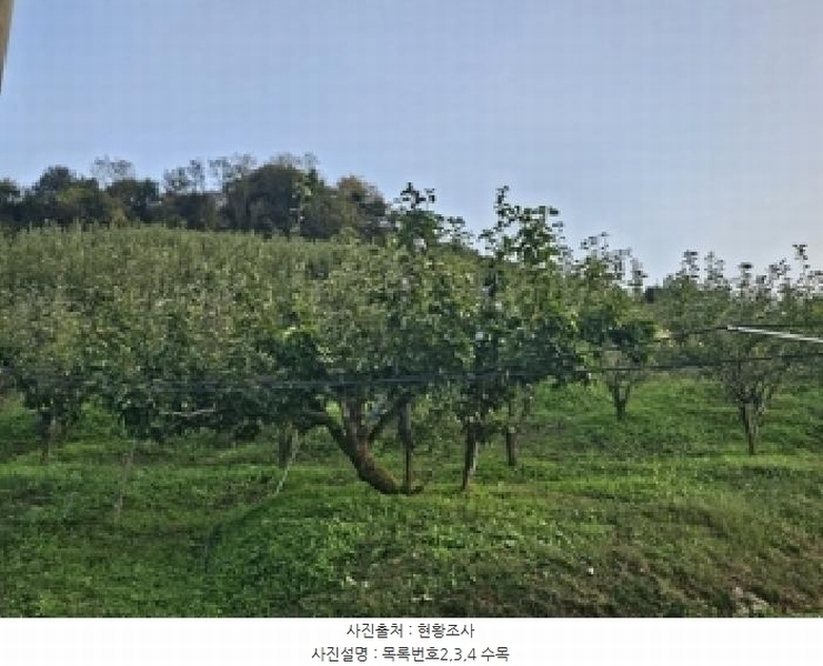 2025타경904 경상남도 진주시 문산읍 두산리 산60 과수원 경매 이미지