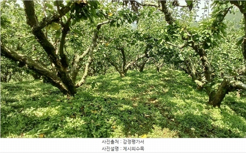 2025타경904 경상남도 진주시 문산읍 두산리 산60 과수원 경매 이미지