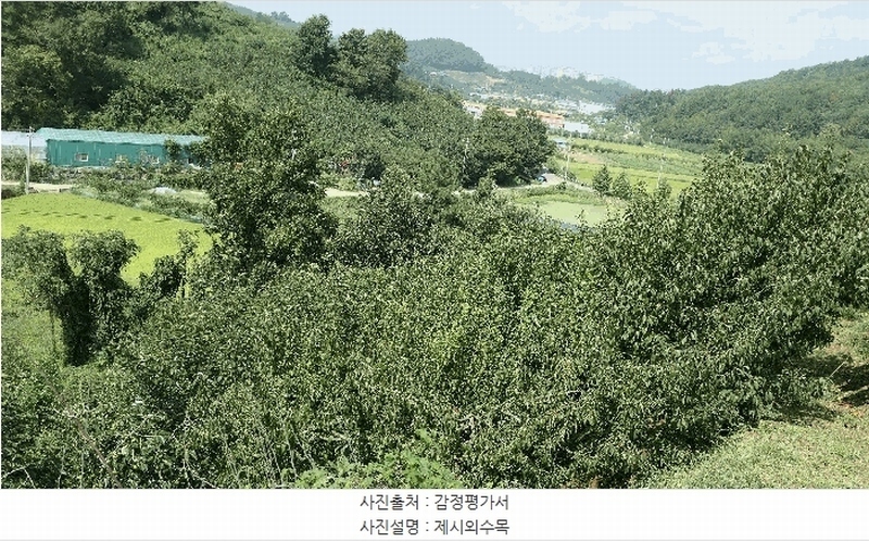 2025타경904 경상남도 진주시 문산읍 두산리 산60 과수원 경매 이미지