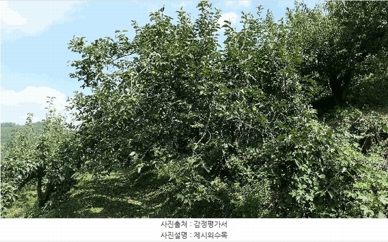 2025타경904 경상남도 진주시 문산읍 두산리 산60 과수원 경매 이미지