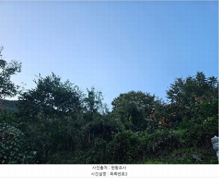 2025타경914 경상남도 산청군 삼장면 대포리 236 농지 경매 이미지