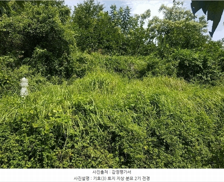 2025타경914 경상남도 산청군 삼장면 대포리 236 농지 경매 이미지