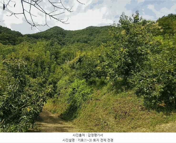 2025타경914 경상남도 산청군 삼장면 대포리 234 농지 경매 이미지