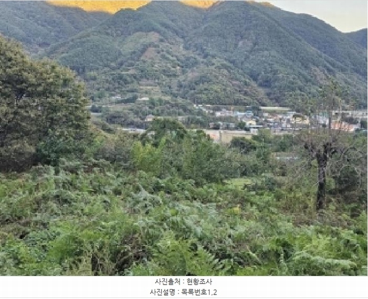2025타경914 경상남도 산청군 삼장면 대포리 234 농지 경매 이미지