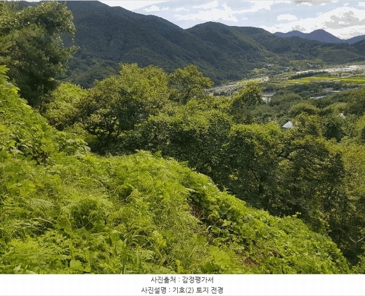 2025타경914 경상남도 산청군 삼장면 대포리 234 농지 경매 이미지