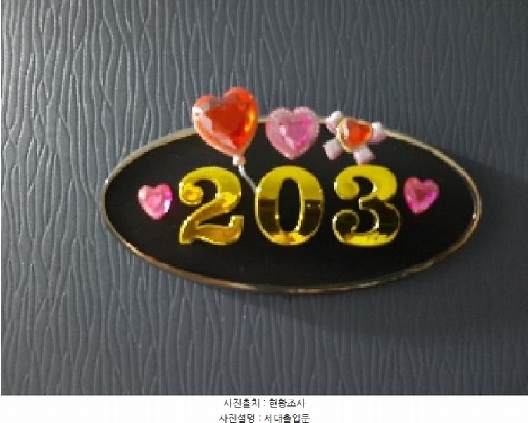 2025타경11723 서울특별시 강서구 초록마을로16길 21, 더스위트 2층 203호 다세대(빌라) 경매 이미지