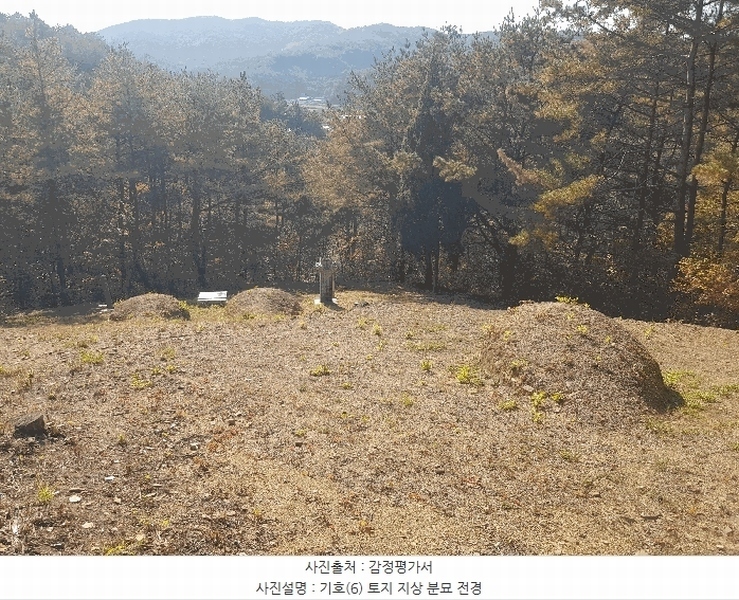 2025타경1026 경상남도 진주시 수곡면 효자리 산102 임야 경매 이미지