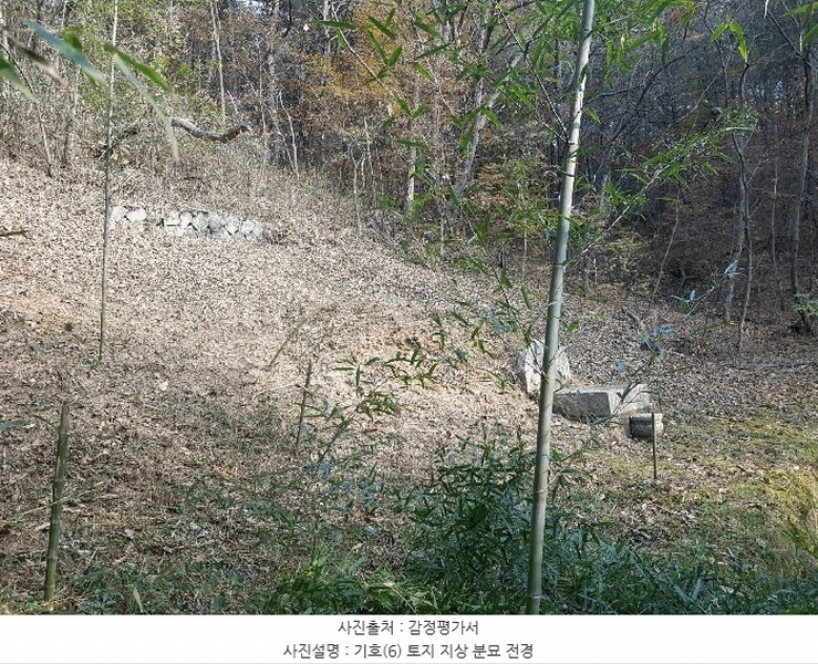 2025타경1026 경상남도 진주시 수곡면 효자리 산102 임야 경매 이미지