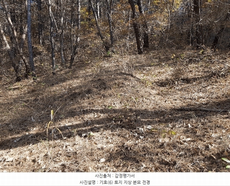 2025타경1026 경상남도 진주시 수곡면 효자리 산102 임야 경매 이미지