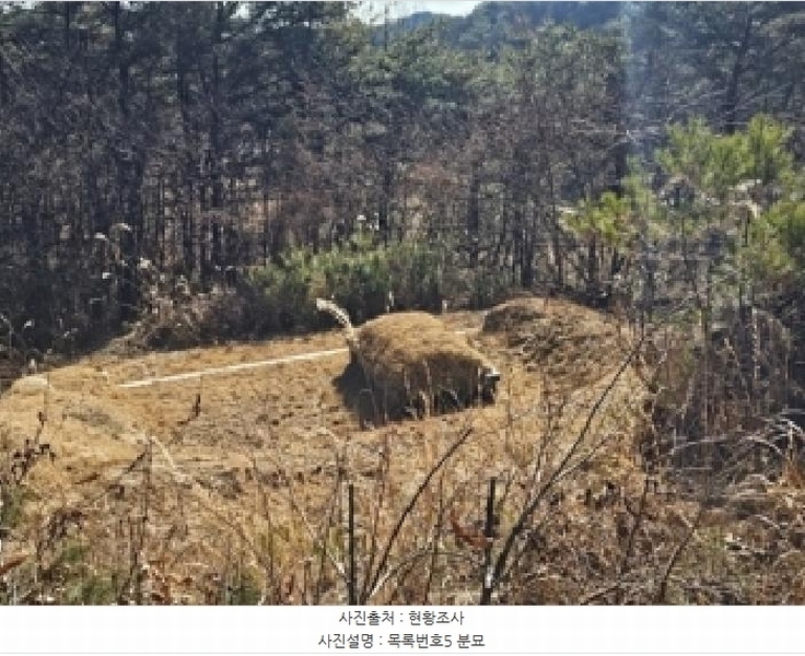 2025타경1026 경상남도 진주시 수곡면 사곡리 산159-2 임야 경매 이미지