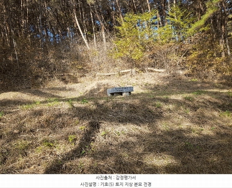 2025타경1026 경상남도 진주시 수곡면 사곡리 산159-2 임야 경매 이미지
