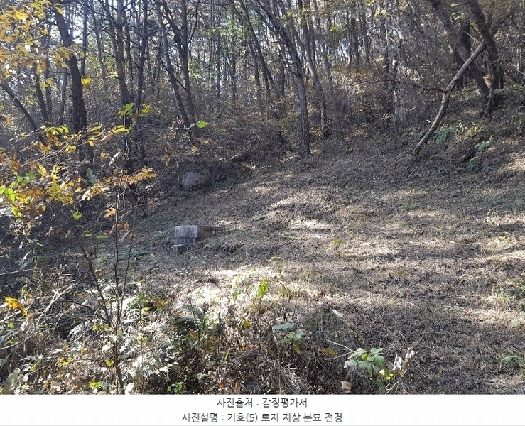 2025타경1026 경상남도 진주시 수곡면 사곡리 산159-2 임야 경매 이미지