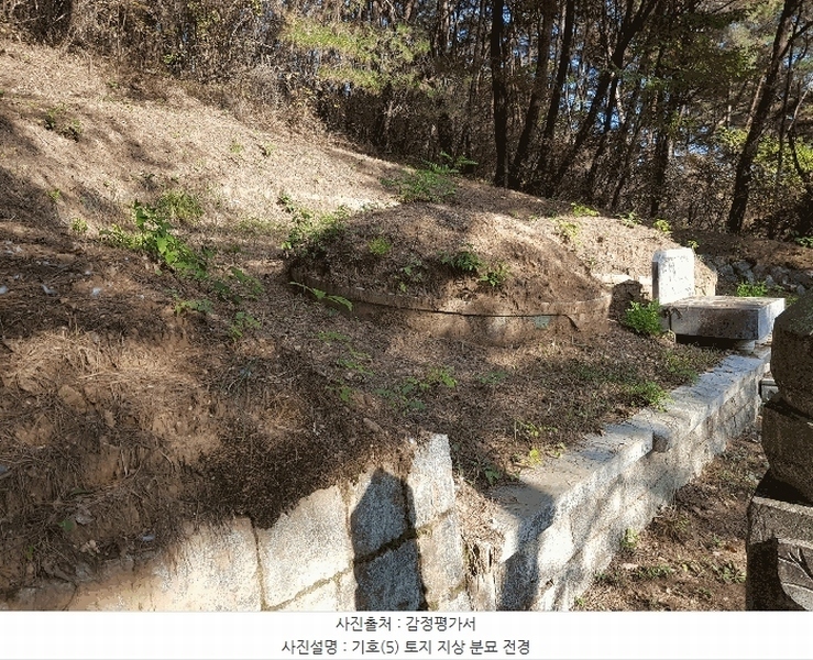 2025타경1026 경상남도 진주시 수곡면 사곡리 산159-2 임야 경매 이미지