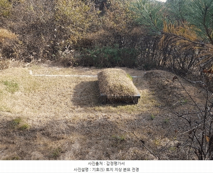 2025타경1026 경상남도 진주시 수곡면 사곡리 산159-2 임야 경매 이미지