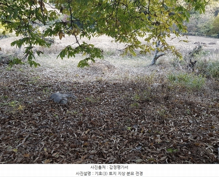 2025타경1026 경상남도 진주시 수곡면 대천리 산6-8 임야 경매 이미지