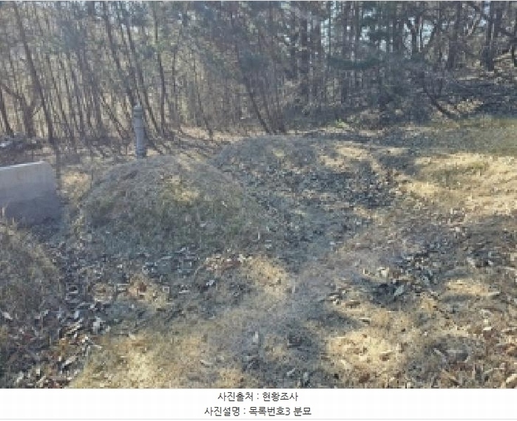 2025타경1026 경상남도 진주시 수곡면 대천리 산6-8 임야 경매 이미지