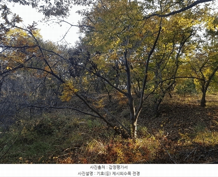 2025타경1026 경상남도 진주시 수곡면 대천리 산6-8 임야 경매 이미지