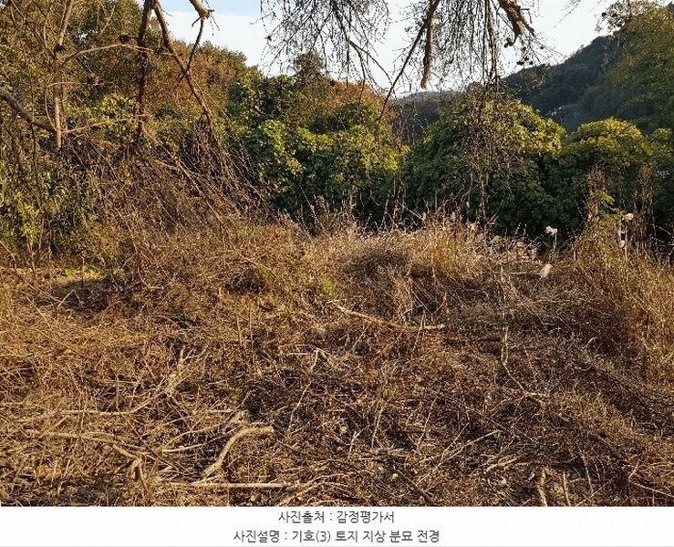 2025타경1026 경상남도 진주시 수곡면 대천리 산6-8 임야 경매 이미지