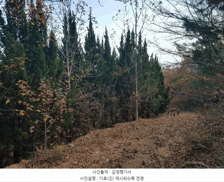 2025타경1026 경상남도 진주시 수곡면 대천리 산6-8 임야 경매 이미지