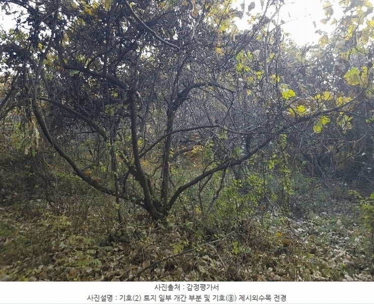 2025타경1026 경상남도 진주시 수곡면 대천리 산6-6 임야 경매 이미지