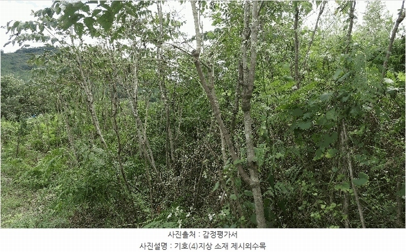 2025타경31211 경상남도 하동군 양보면 감당리 658 농지 경매 이미지