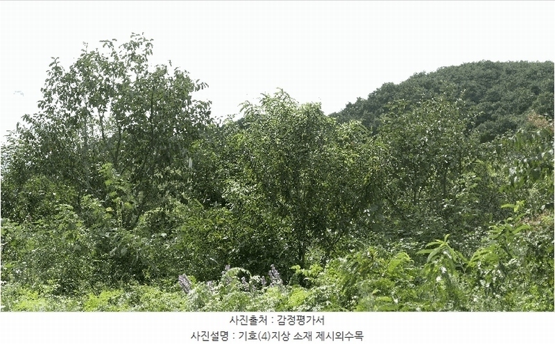 2025타경31211 경상남도 하동군 양보면 감당리 658 농지 경매 이미지