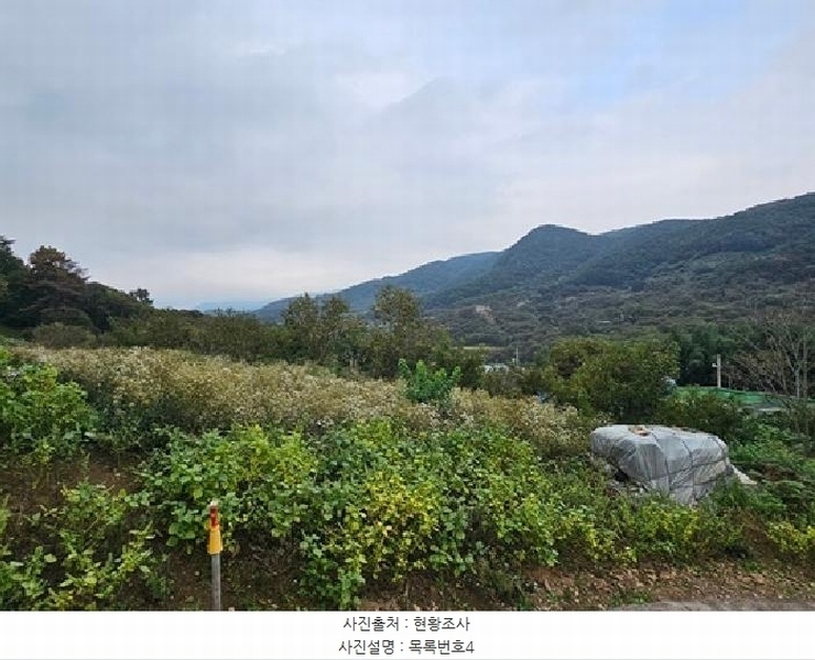 2025타경31211 경상남도 하동군 양보면 감당리 658 농지 경매 이미지