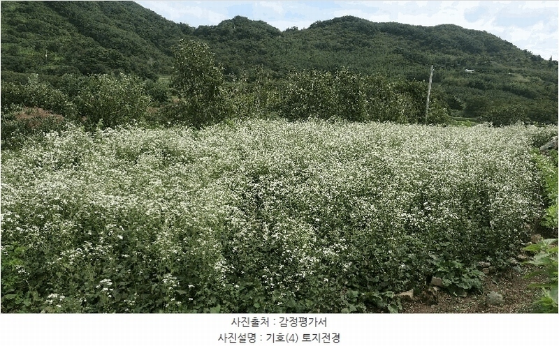 2025타경31211 경상남도 하동군 양보면 감당리 658 농지 경매 이미지