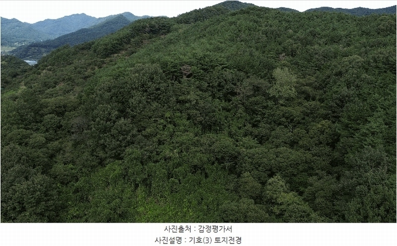 2025타경31211 경상남도 하동군 적량면 동리 산32 임야 경매 이미지