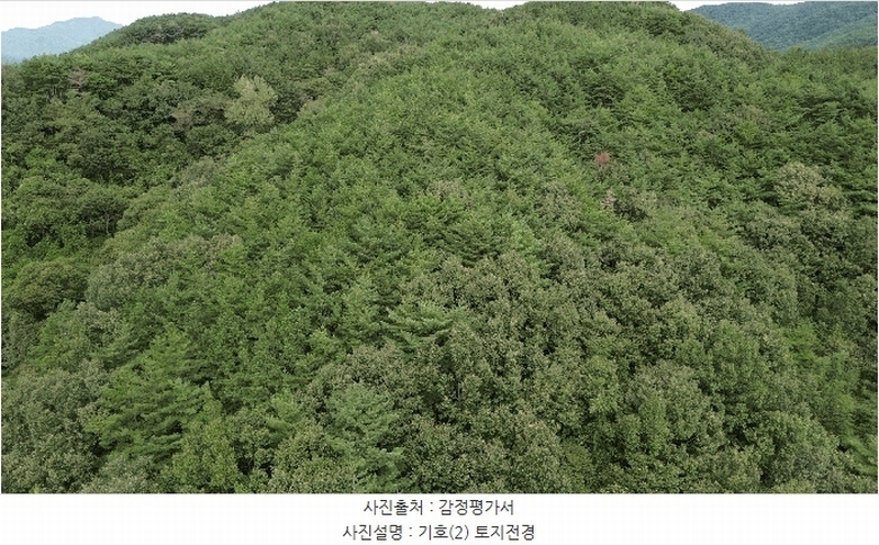 2025타경31211 경상남도 하동군 적량면 동리 산15 임야 경매 이미지